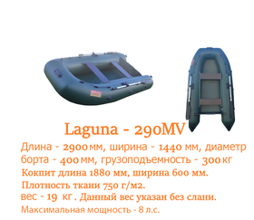 Лодка моторная Лагуна 290MV